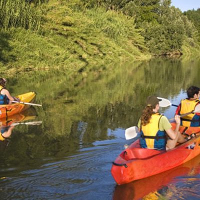 (Agenda) Propuestas para vivir el otoño en los parques naturales de Cataluña