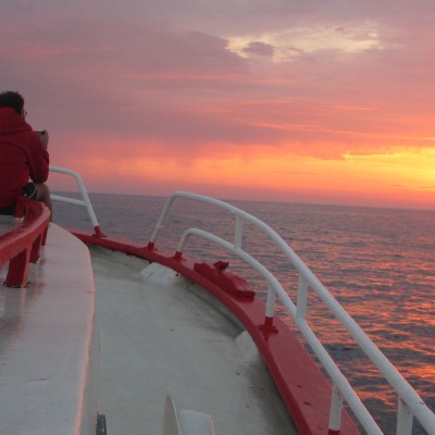 A la pesca de la gamba de Palamós