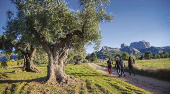 7 imprescindibles del ecoturismo en Cataluña