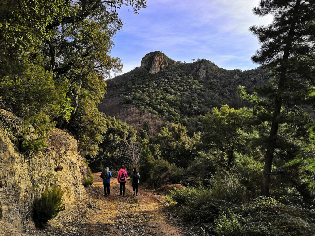 Espacio Natural Protegido de Les Guilleries.