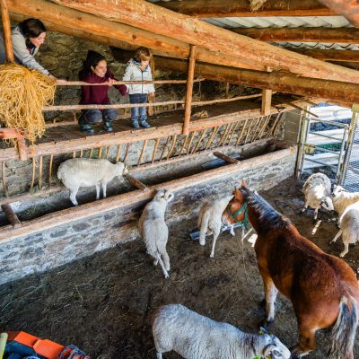 Experiencia rural de 360º en familia en Pirineus-Noguera Pallaresa y las Valls d’Àneu