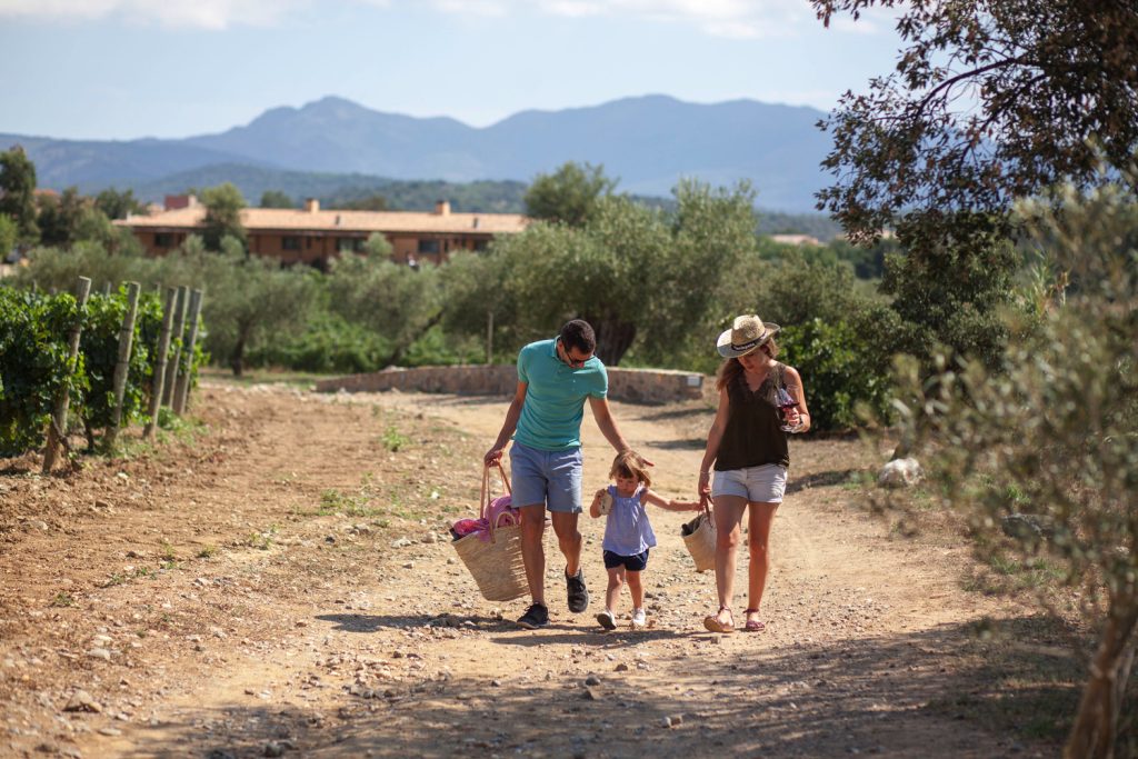 Celler La Vinyeta